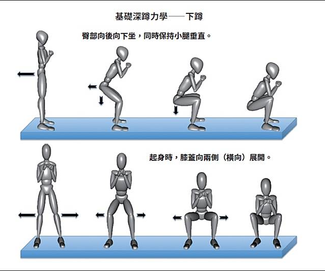 深蹲